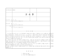 고소장 (간통죄) 고소장 (간통죄)